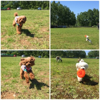 �邭�����ŔN��