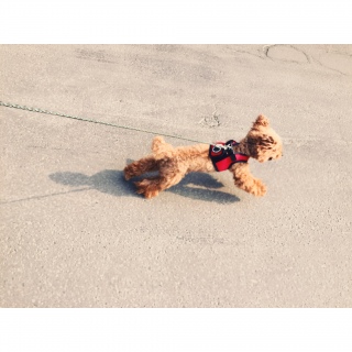 ���U���B