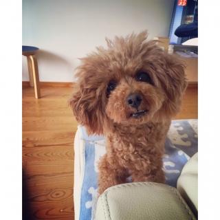 �p�������t���Ă܂���[