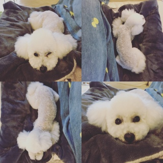 �����ꂿ���B