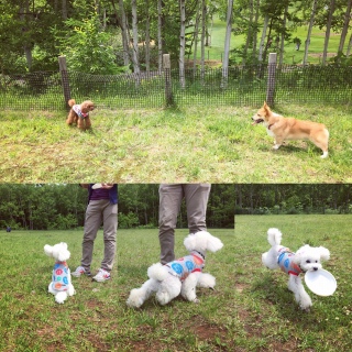 ���T���A����