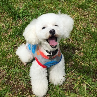 �y���������ˁI