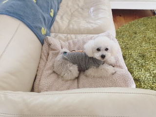 ���Ł[�����`