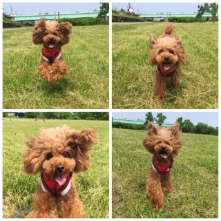 �邭�����♡