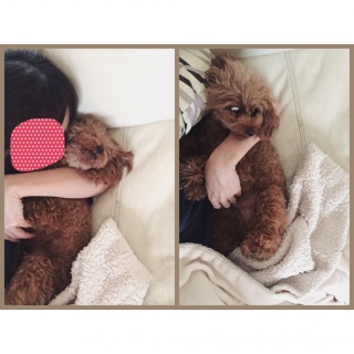 �C�`�����ߌ�♡
