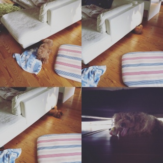 �����邭�����