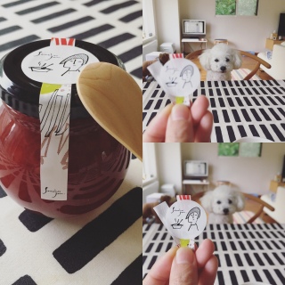 �T���`���X�W����