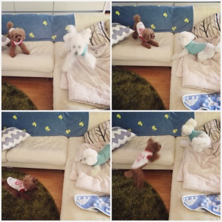 �X�C�b�`���[��B