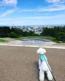 �x�e�����Ă�[�[