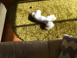 ���͂�[
