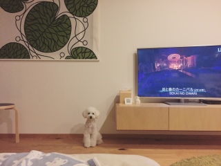 ����u���~