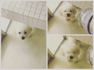 �u�j�������♡�i���ށ��j♡